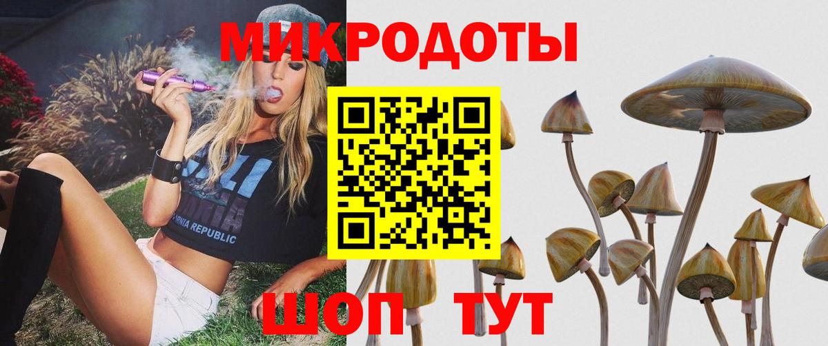 Псилоцибиновые грибы Psilocybine cubensis Крымск