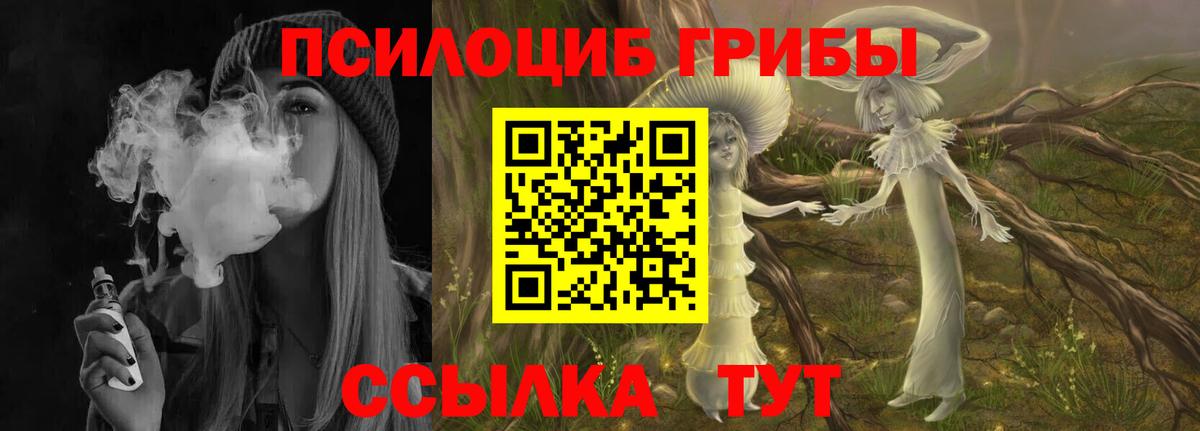Крымск  Псилоцибиновые грибы GOLDEN TEACHER  Вход с VPN 